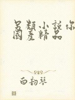 另类小说你懂的国产精品封面