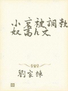 小哀被调教成肉奴高h文