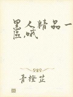 黑人精品一区二区,哦