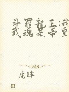 斗罗龙王:我的武魂是帝皇铠甲免费阅读封面