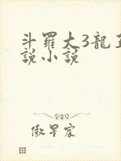 斗罗大3龙王传说小说