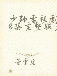 少帅电视剧第48集完整版免费封面