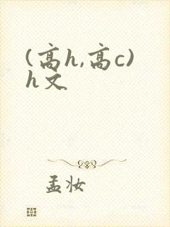 (高h,高c)h文
