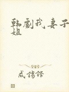 韩剧我妻子的姐姐封面