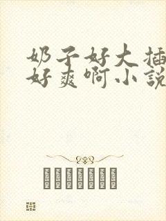 奶子好大插起来好爽啊小说