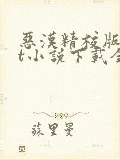 恶汉精校版txt小说下载全本