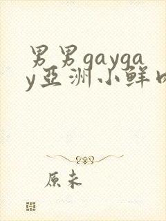 男男gaygay亚洲小鲜肉网站