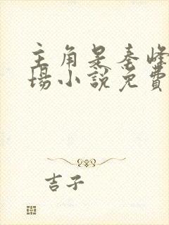 主角是秦峰的官场小说免费阅读