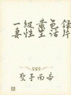 一级黄色录像夫妻性生活片