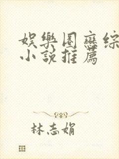 娱乐圈恋综言情小说推荐