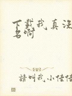 下载我真没想出名啊