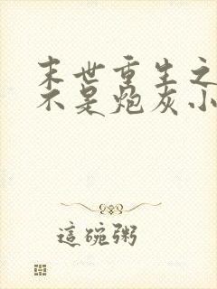 末世重生之我可不是炮灰小说