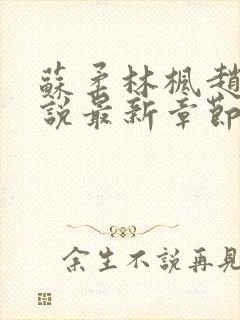 苏柔林枫赵刚小说最新章节更新时间