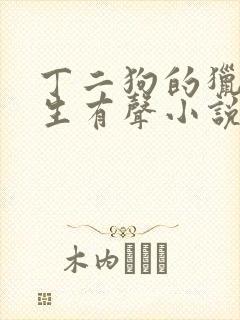 丁二狗的猎艳人生有声小说全集