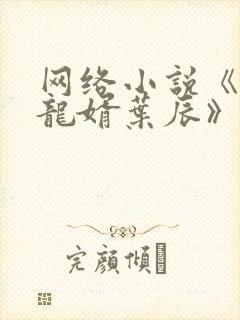 网络小说《上门龙婿叶辰》封面