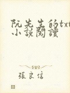 阮先生的txt小说阅读封面