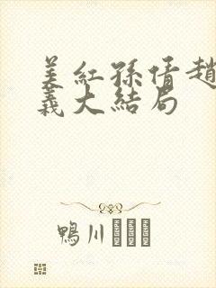 美红孙倩赵敏高义大结局