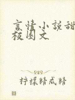 言情小说甜宠文校园文封面