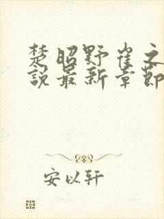 楚昭野崔之棠小说最新章节更新内容