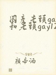 国产老头gay和老头gay123封面