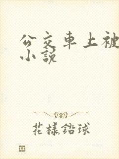 公交车上被奸的小说