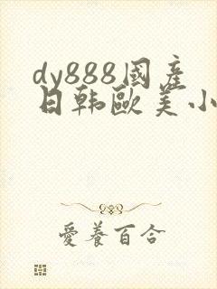 dy888国产日韩欧美小说在线观看