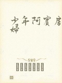 少年阿宾房东少妇