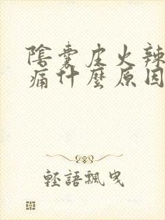 阴囊皮火辣辣的痛什么原因