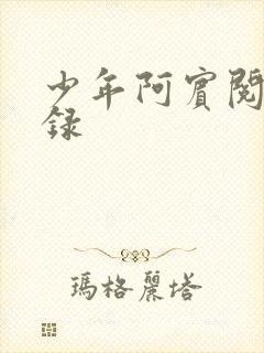 少年阿宾阅读目录