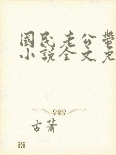 国民老公带回家小说全文免费阅读