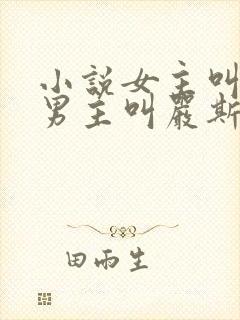 小说女主叫宋栀男主叫严斯年封面