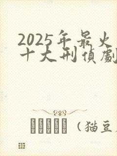 2025年最火十大刑侦剧