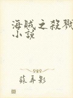 海贼之杀戮大将小说