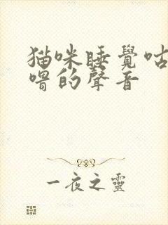 猫咪睡觉咕噜咕噜的声音