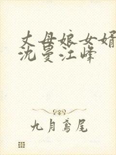 丈母娘女婿小说沈曼江峰