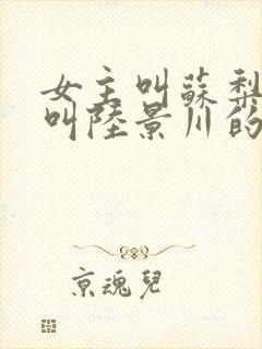 女主叫苏梨男主叫陆景川的小说