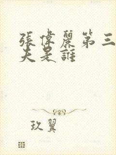 张伟丽第三任丈夫是谁