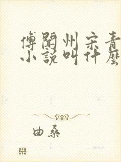 傅闻州宋青柚的小说叫什么