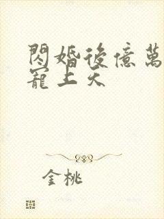 闪婚后亿万总裁宠上天