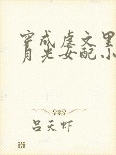 穿成虐文里的白月光女配小说