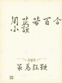 周芷若百合同人小说封面