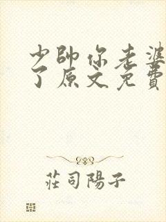 少帅你老婆又跑了原文免费阅读封面