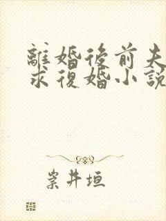 离婚后前夫哭着求复婚小说阅读全部