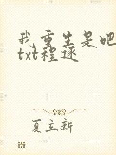 我重生是吧程逐txt程逐封面