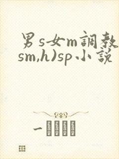 男s女m调教(sm,h)sp小说封面