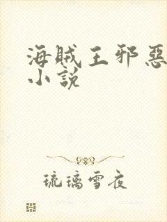 海贼王邪恶同人小说封面