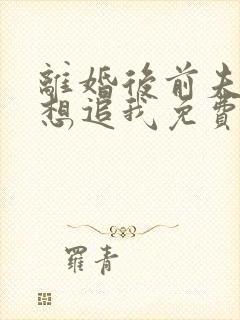 离婚后前夫总是想追我免费版