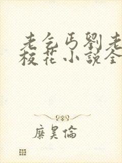 老乞丐刘老汉和校花小说全文