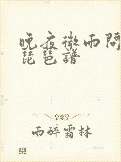 晚夜微雨问海棠琵琶谱