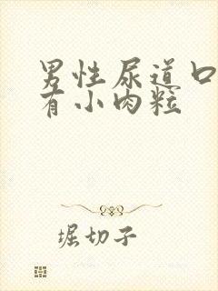 男性尿道口上面有小肉粒